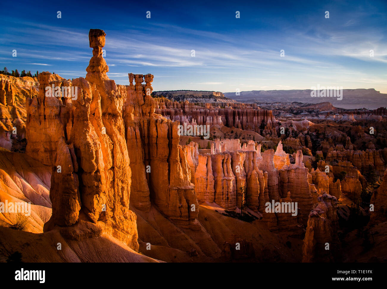 Thor's Hammer at Sunrise in Bryce Canyon National Park Stock Photo - Alamy