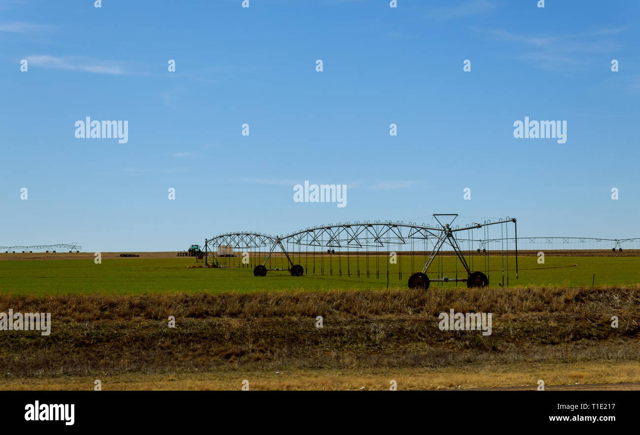 Agricultural irrigation system watering field on sprinklers system in operation Stock Photo