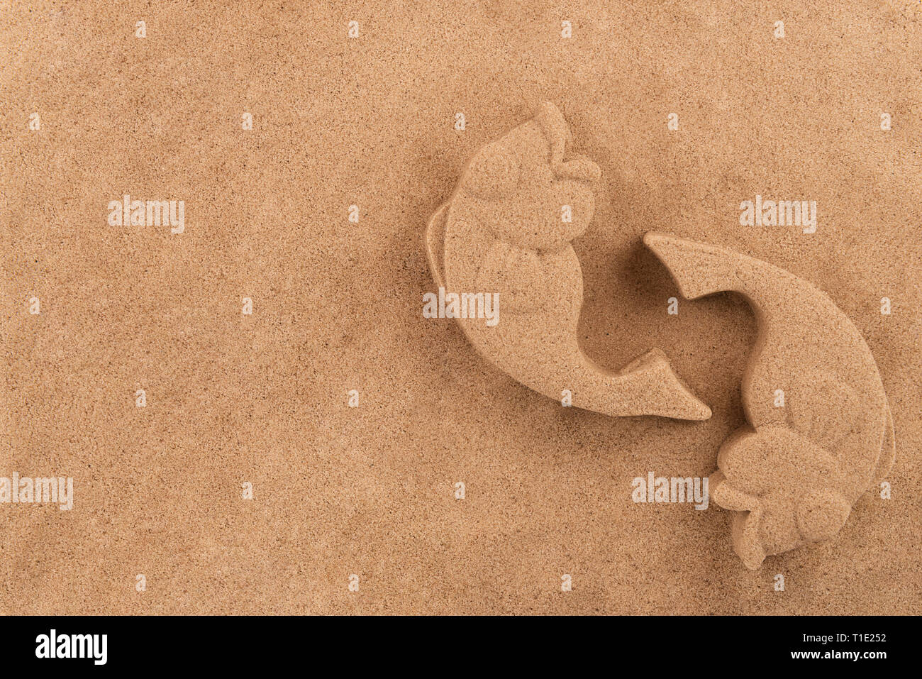Ying yang sand fishes, sea sand in background. Copy space. Stock Photo