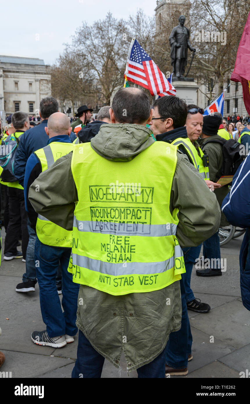 London, England, UK. 23 March 2019.  Pro-Brexit counter demonstration in Trafalgar Square, London, UK Stock Photo