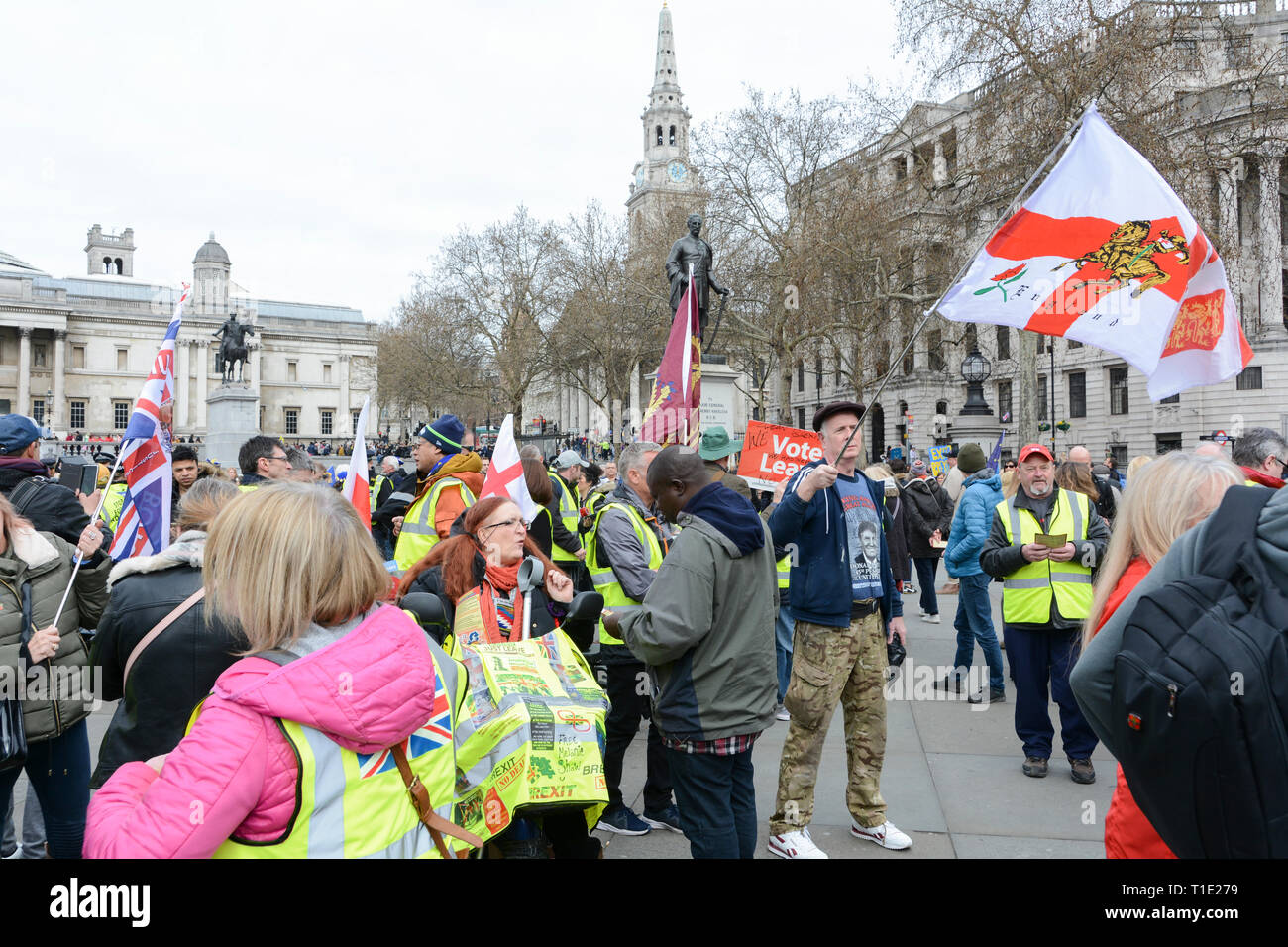 London, England, UK. 23 March 2019.  Pro-Brexit counter demonstration in Trafalgar Square, London, UK Stock Photo