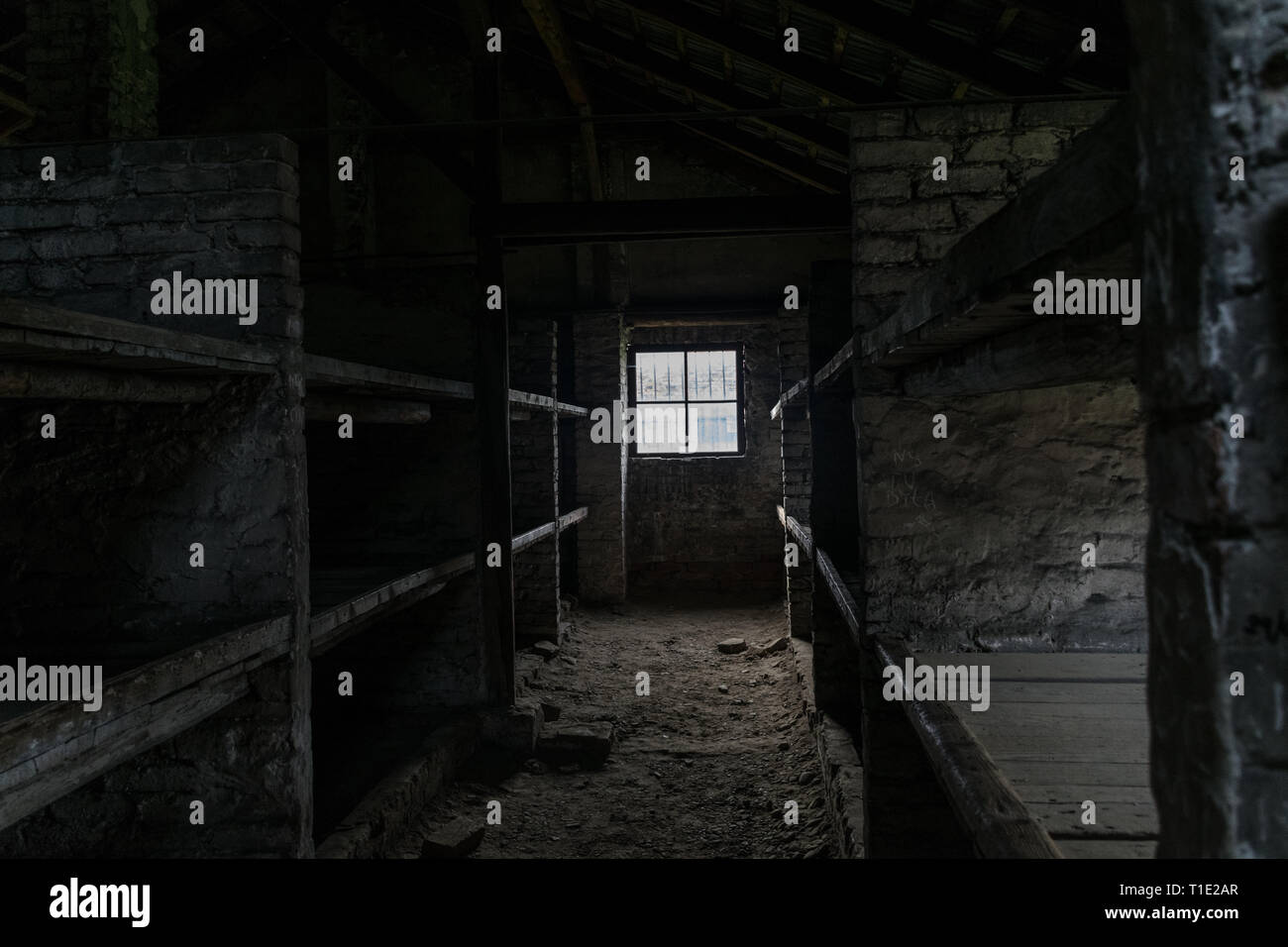 Sleeping quarters with wooden bunk beds showing prisoners terrible living conditions at The Nazi concentration camp of birkenau in Oswiecim, Poland, a Stock Photo