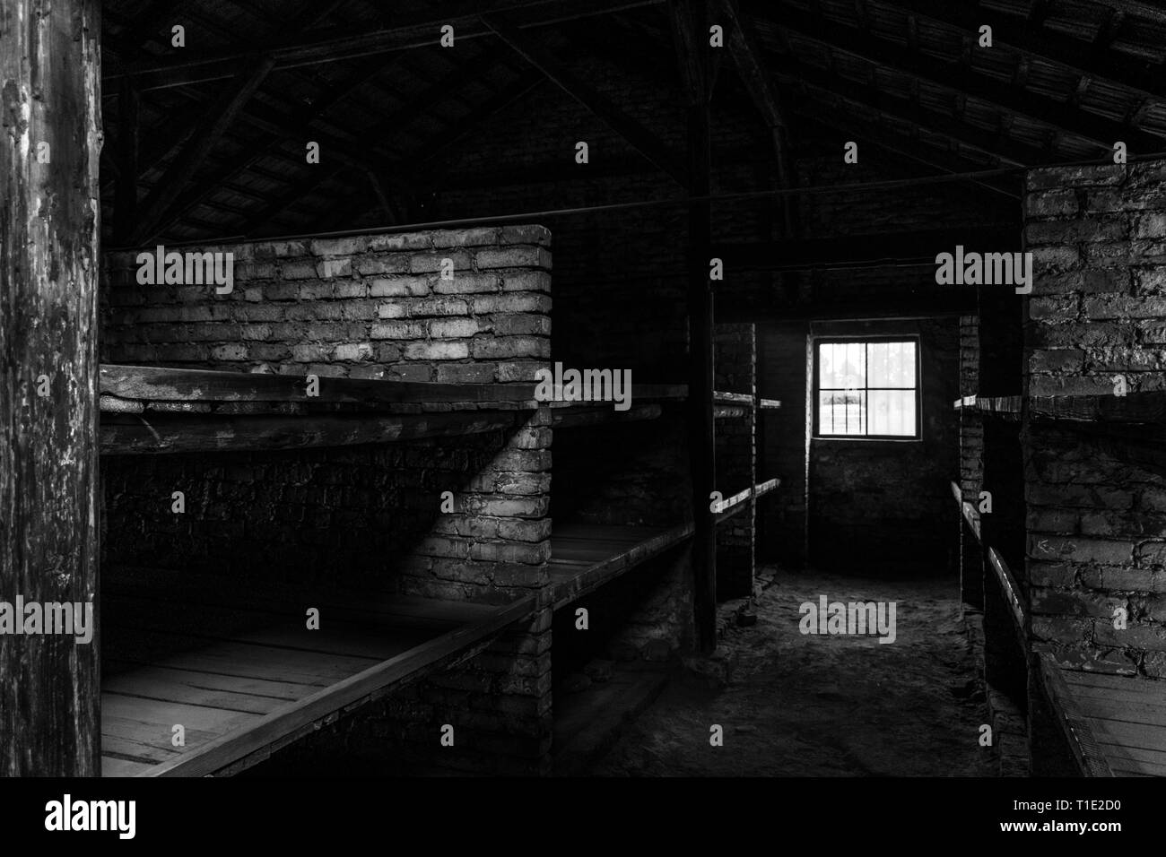 BW photo of sleeping quarters with wooden bunk beds showing prisoners terrible living conditions at The Nazi concentration camp of birkenau in Stock Photo
