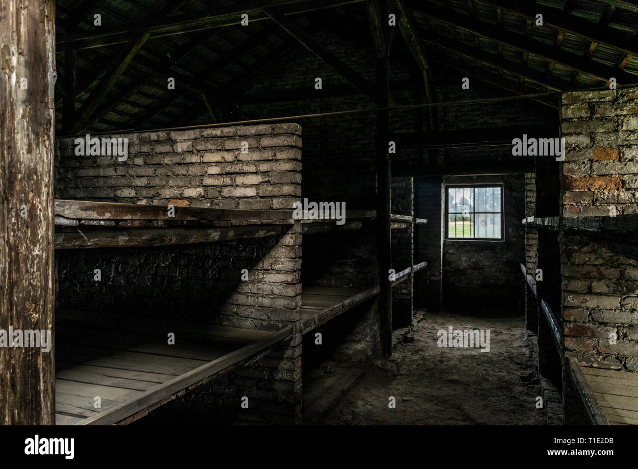 Sleeping quarters with wooden bunk beds showing prisoners terrible living conditions at The Nazi concentration camp of birkenau in Oswiecim, Poland, a Stock Photo