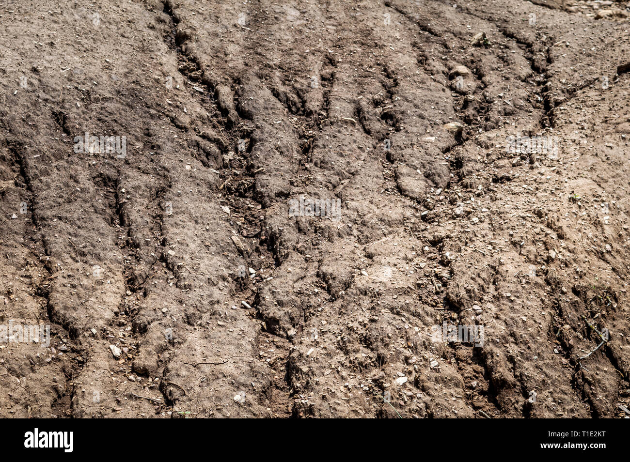 Soil erosion by water hires stock photography and images Alamy