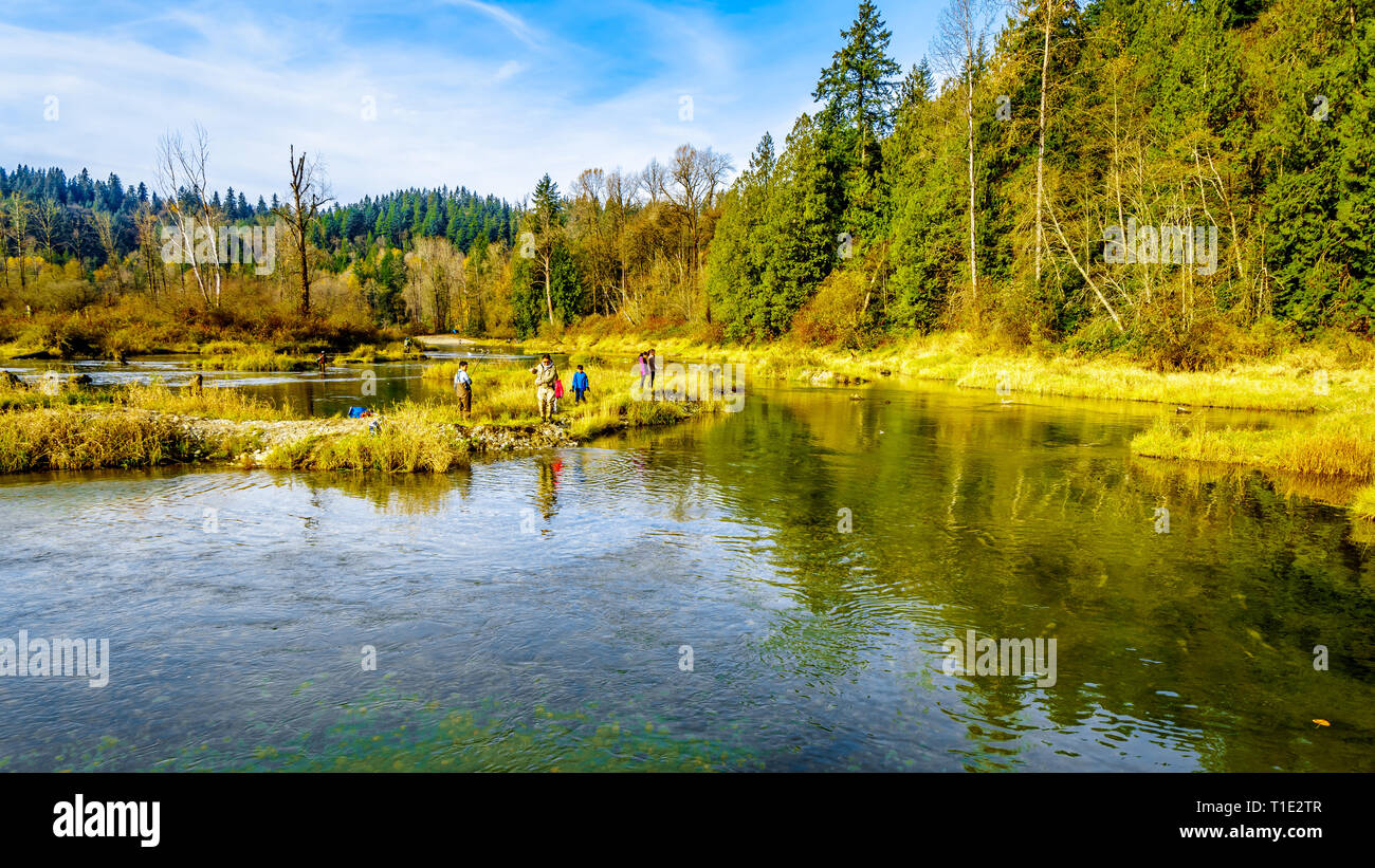 Fishing at the spawning grounds of the Stave River downstream of the