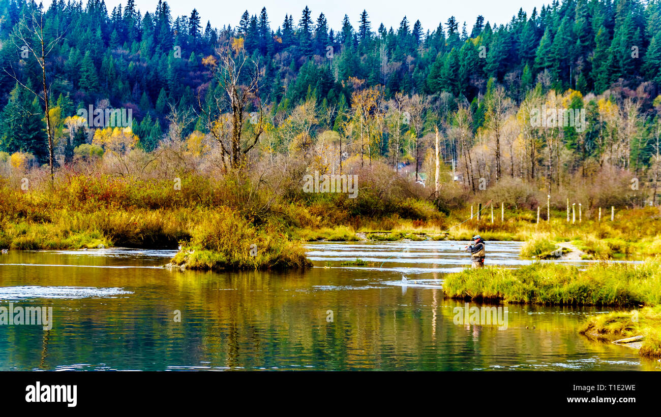 The spawning grounds of the Stave River downstream of the Ruskin Dam at