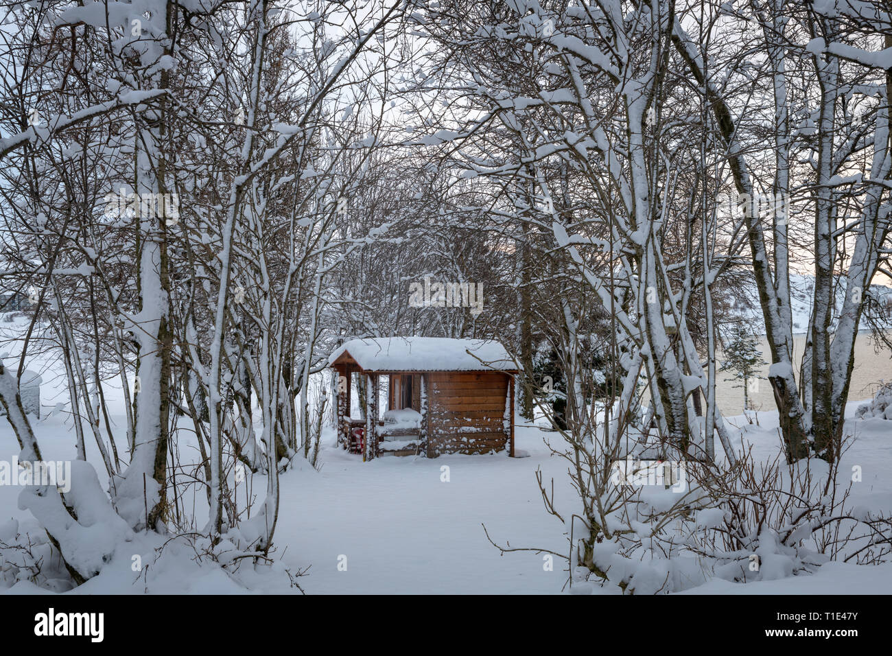 Log Cabin In Snowy Woods Stock Photos Log Cabin In Snowy Woods