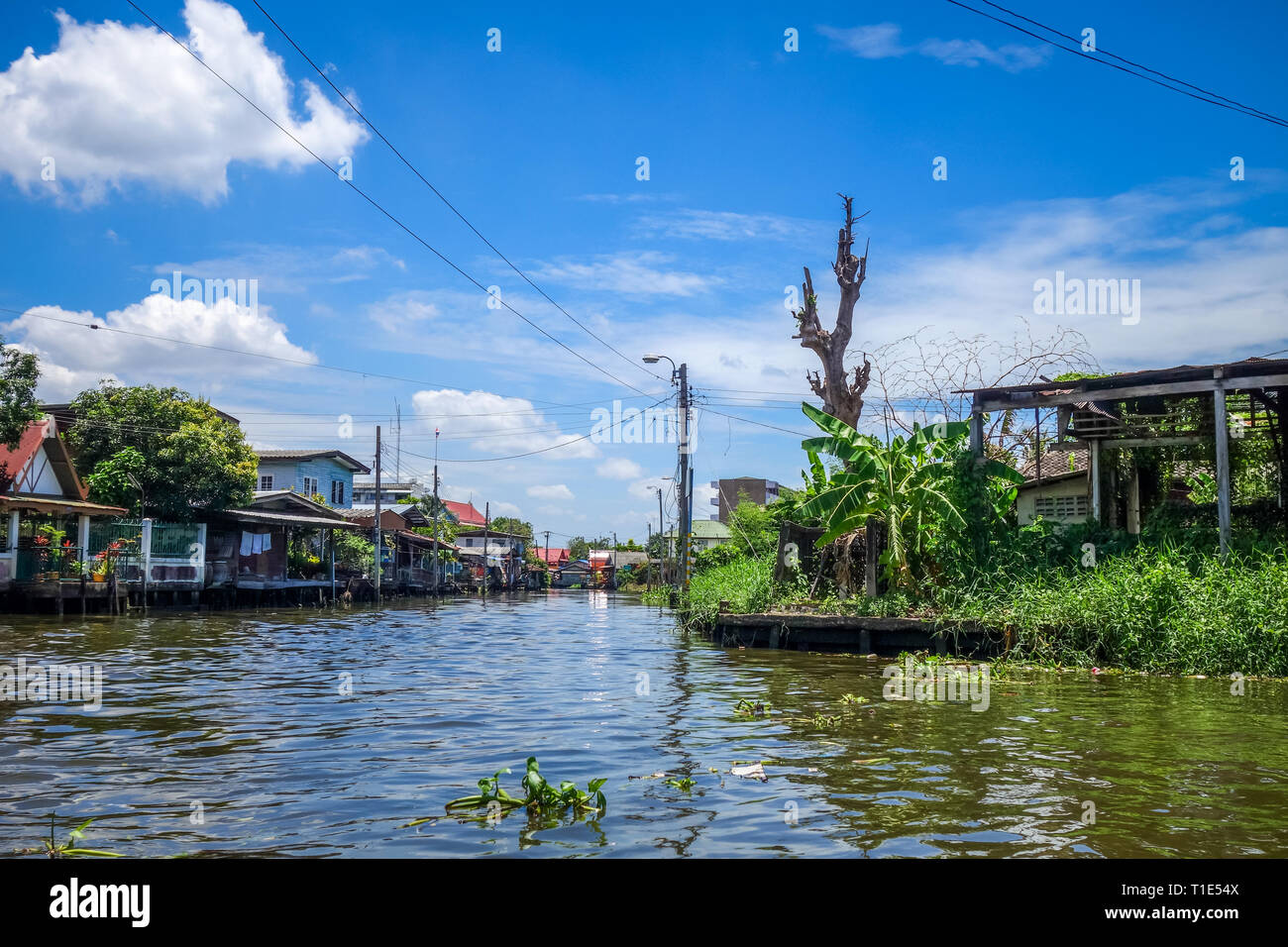 Traditional old houses on Khlong, Bangkok, Thailand Stock Photo Alamy