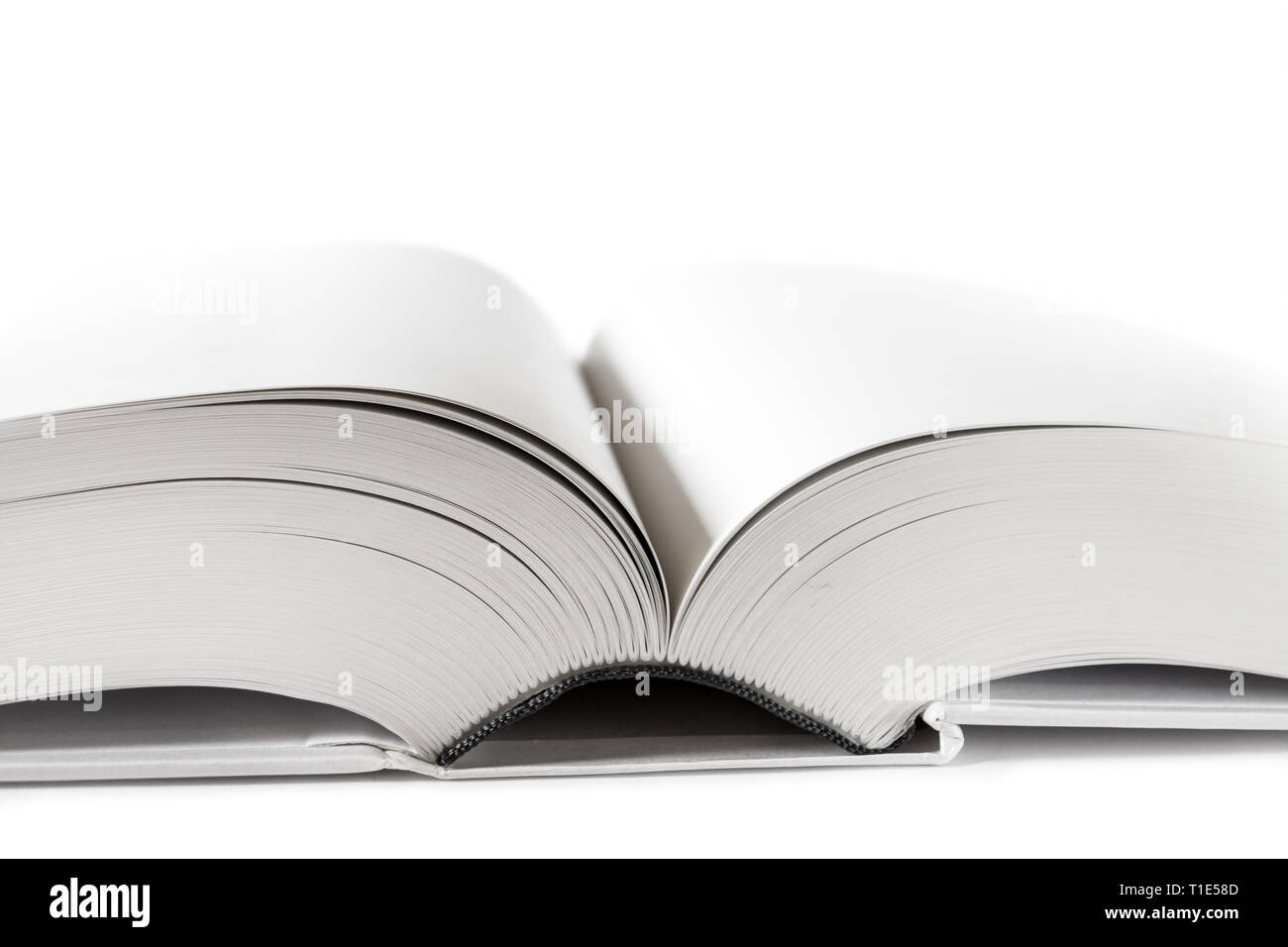 Open blank dictionary, book mockup on white background Stock Photo Alamy