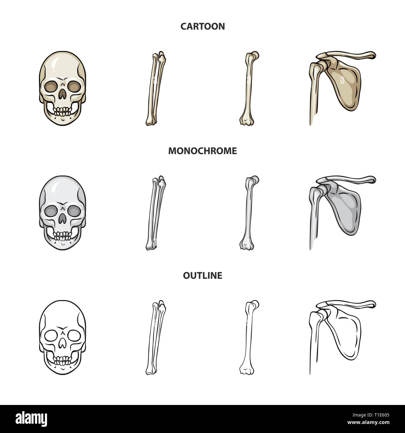 Skull Femur Death Broken Pelvis Monster Leg Fibula Hip Evil Knee Shin Pelvic Horror Tibia Tattoo Fracture Head Alignment Surgery Eye Calcium Pain Healthy Hell Driftwood Teeth Movement Medicine Clinic Biology Medical Bone Skeleton Anatomy Human Organs