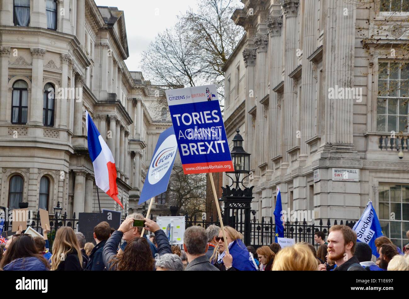 scenes from the anti brexit pro peoples vote march in london 23rd march 2019 tories against brexit Stock Photo