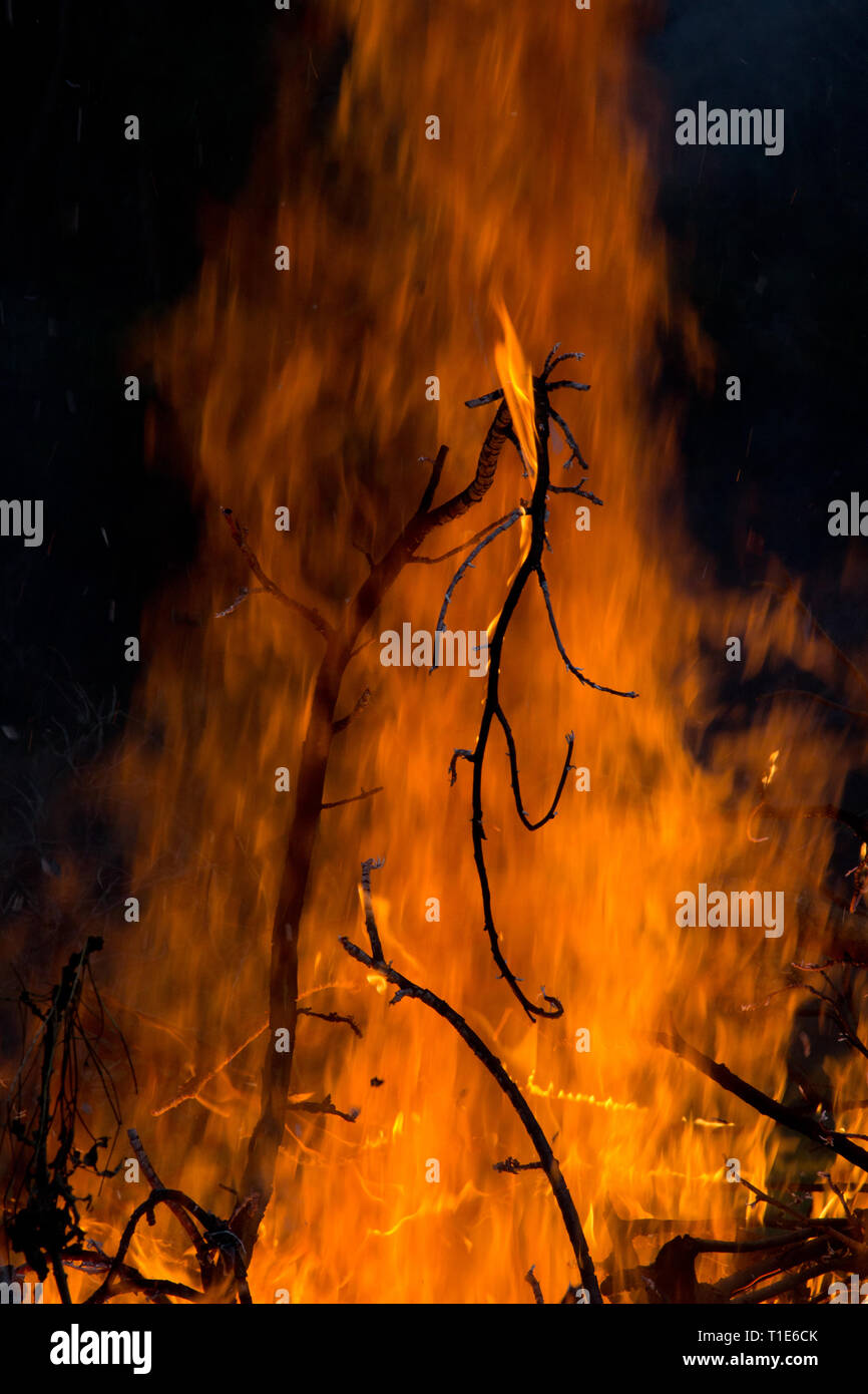 Silhouetted burning twigs against flaming backdrop by night Stock Photo