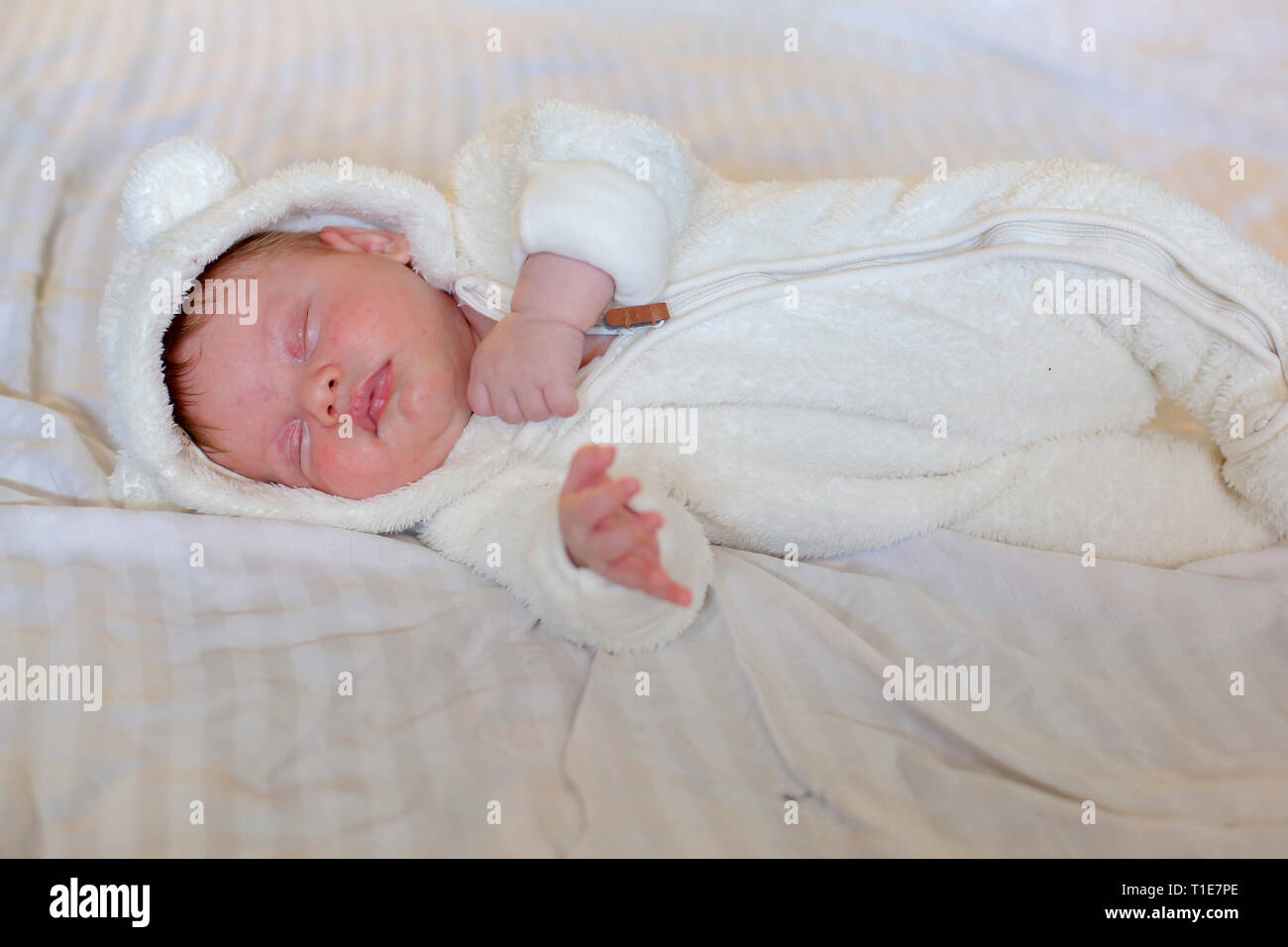 Three week old baby. Model Release Available Stock Photo