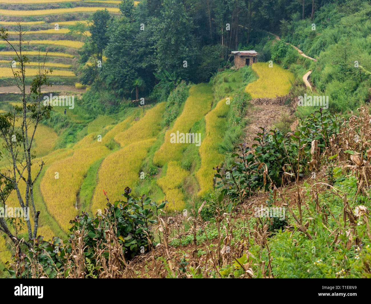 Yunnan China Karst High Resolution Stock Photography and Images - Alamy