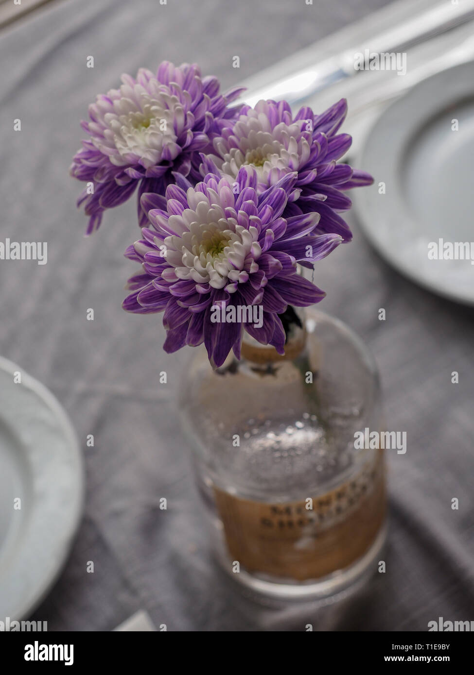 Dried flower potpourri Stock Photo Alamy