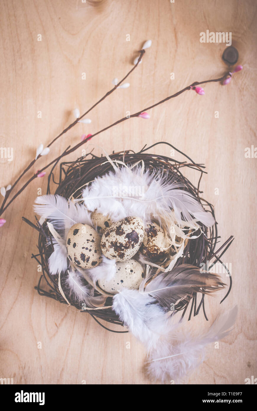 Easter background with eggs and flowers Stock Photo - Alamy