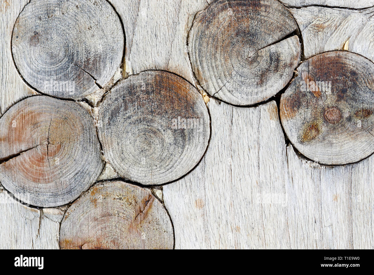 Detail of the wood texture with knots knots in wood Stock Photo Alamy