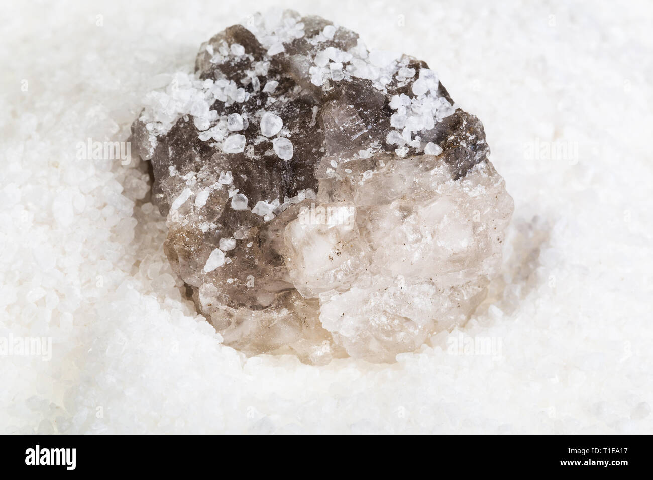 raw natural Halite mineral in grained Rock Salt close up Stock Photo