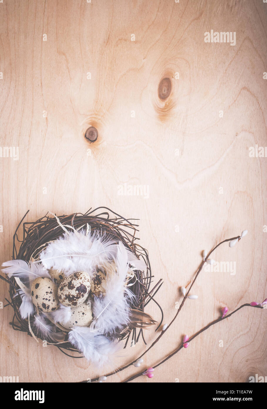 Easter background with eggs and flowers Stock Photo - Alamy
