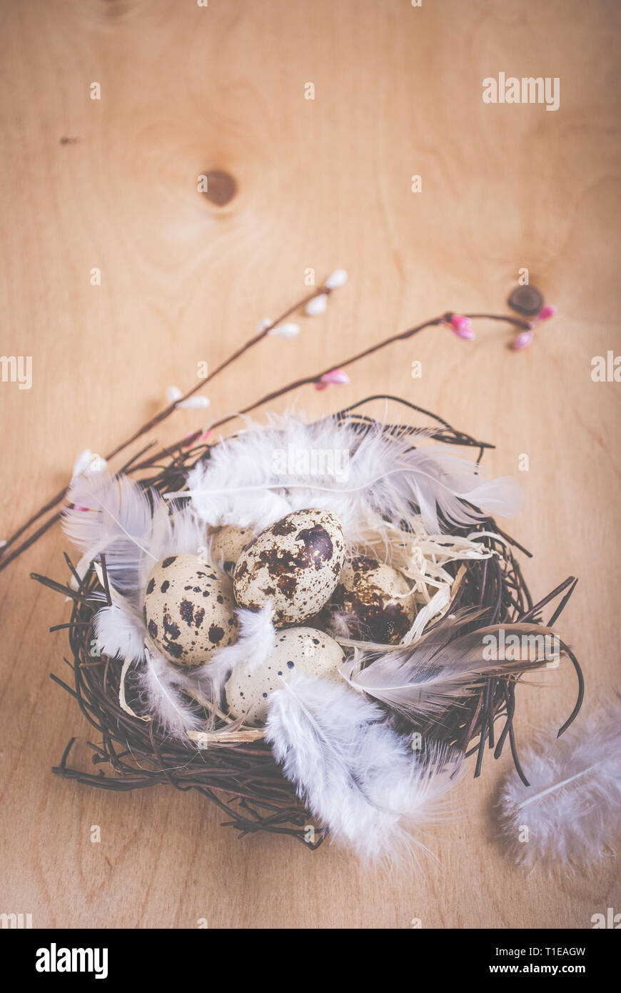 Easter background with eggs and flowers Stock Photo - Alamy