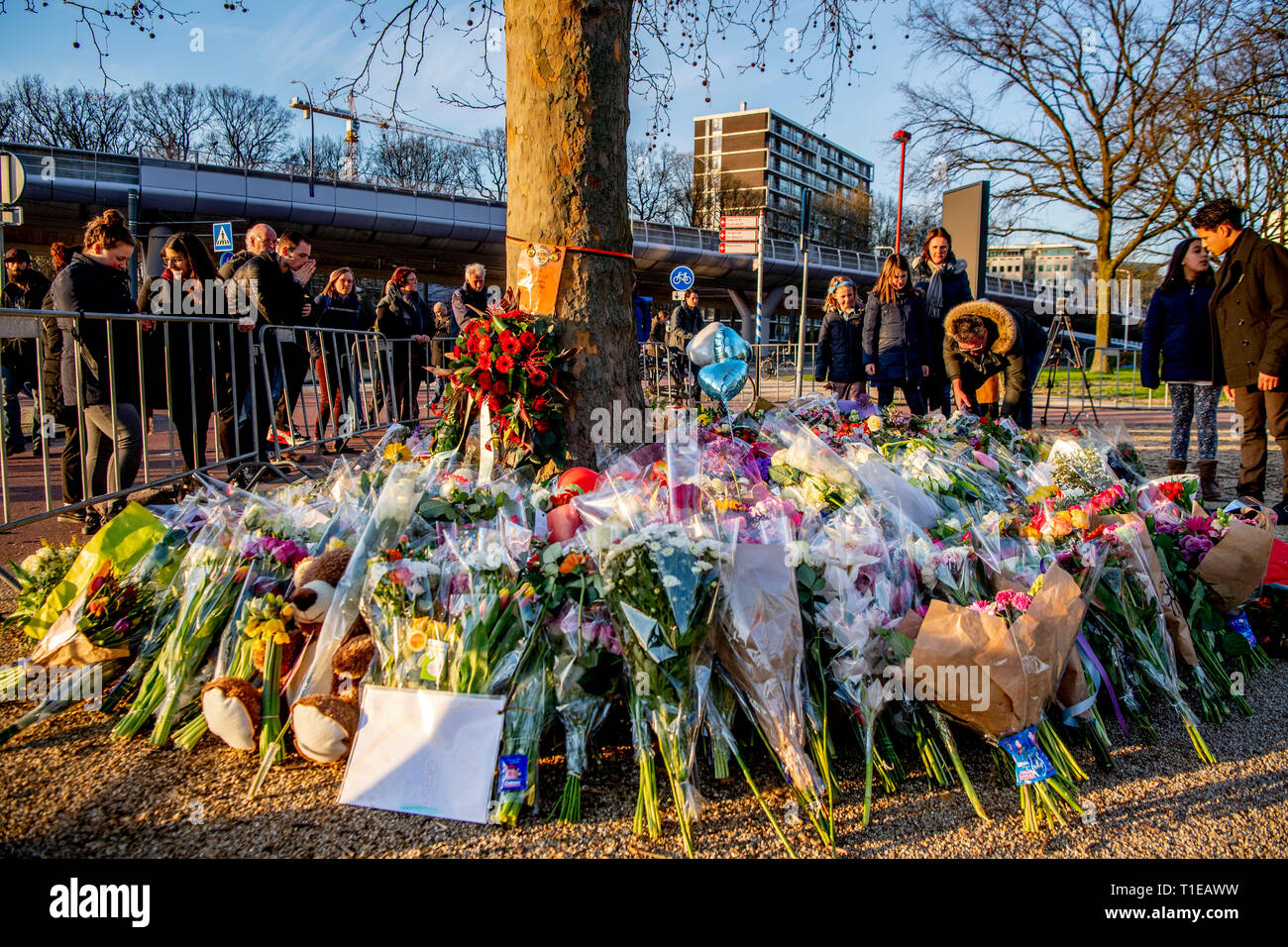 UTRECHT - Belangstellenden leggen bloemen op het 24 Oktoberplein, de dag na het schietincident.  De schietpartij in een tram op het 24 Oktoberplein in Utrecht heeft aan drie mensen het leven gekost. Vijf mensen raakten gewond, drie van hen zijn er ernstig aan toe.  Gökmen T. ROBIN UTRECHT Stock Photo