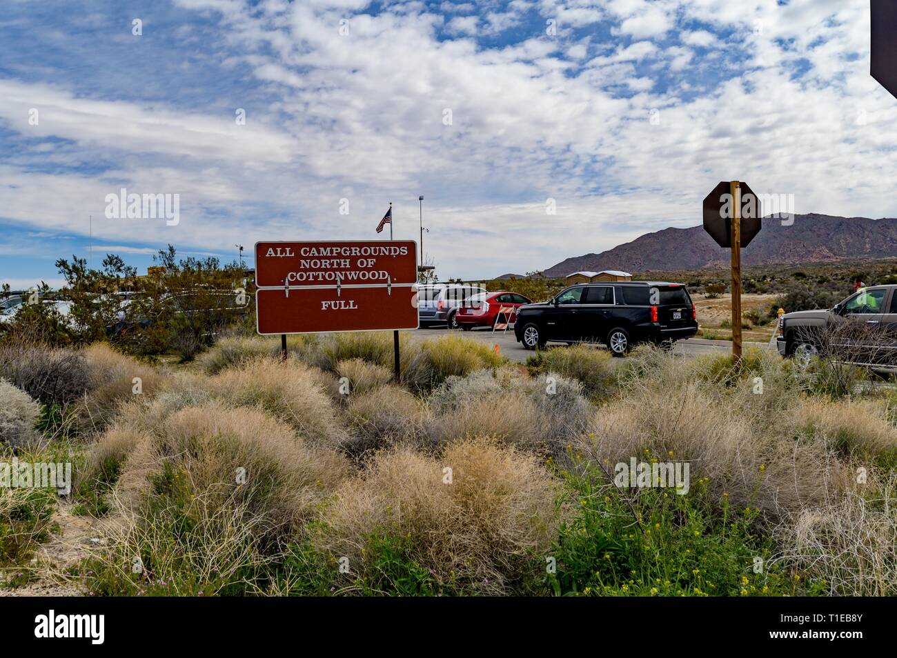 Joshua Tree, California, USA. 21st Mar, 2019. The Cottonwood Visitor