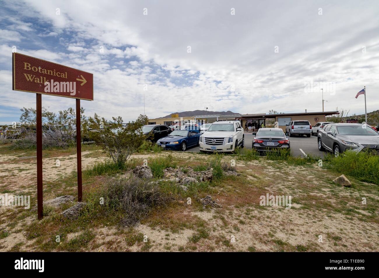 Joshua Tree, California, USA. 21st Mar, 2019. The Cottonwood Visitor