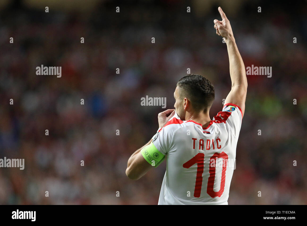 Dušan Tadi? of Serbia celebrates with teammates after scoring during the Qualifiers - Group B to Euro 2020 football match between Portugal vs Serbia. (Final score: Portugal 1 - 1 Serbia) Stock Photo