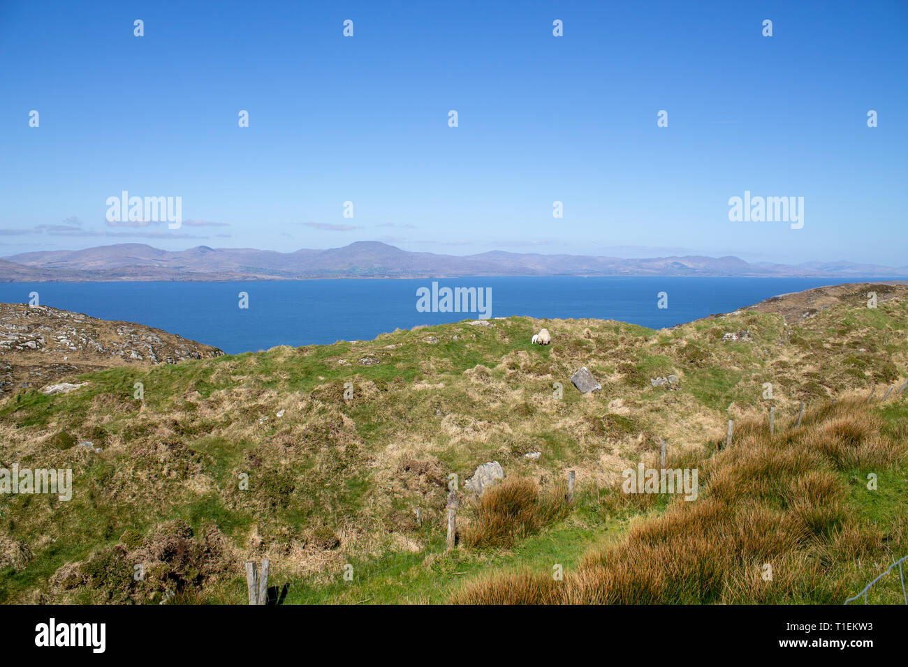West coast ireland on march 14 hires stock photography and images Alamy