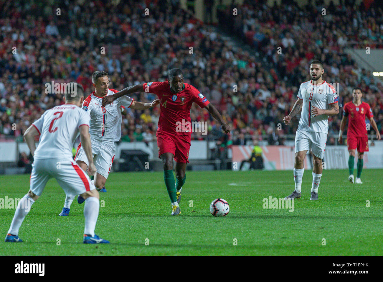 Lisbon, Portugal. 25th Mar, 2019. March 25, 2019. Lisbon, Portugal. Portugal's and Betis midfielder William Carvalho (14) during the European Championship 2020 Qualifying Round between Portugal and Serbia Credit: Alexandre de Sousa/Alamy Live News Stock Photo