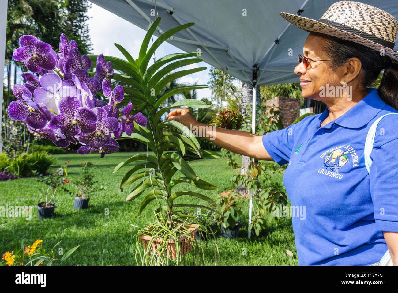 Miami Beach Florida,Botanical Garden,Tour of,Miami Beach,Gardens,horticulture,gardening,Black woman female women,hat,orchid,plants,flower,flower,sale, Stock Photo