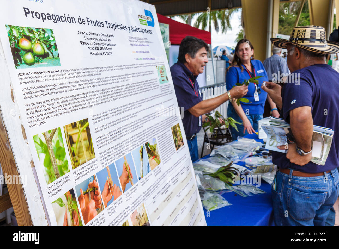 Miami Florida,Kendall,Tropical Park,Miami International Agriculture & Cattle Show,breeding,livestock trade,agri business,horticulture,poster,tropical Stock Photo