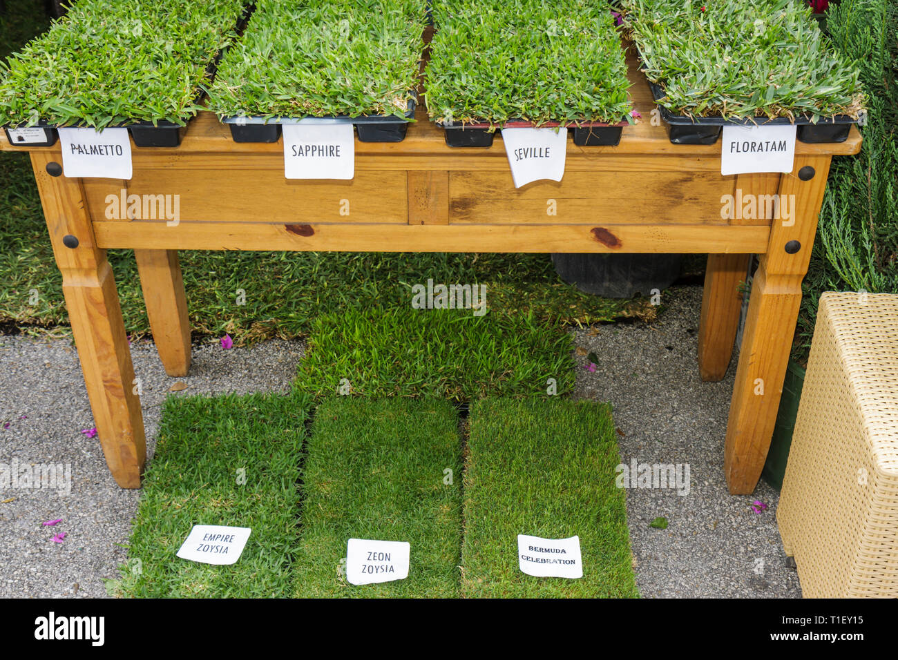 Miami Florida,Kendall,Tropical Park,Miami International Agriculture and