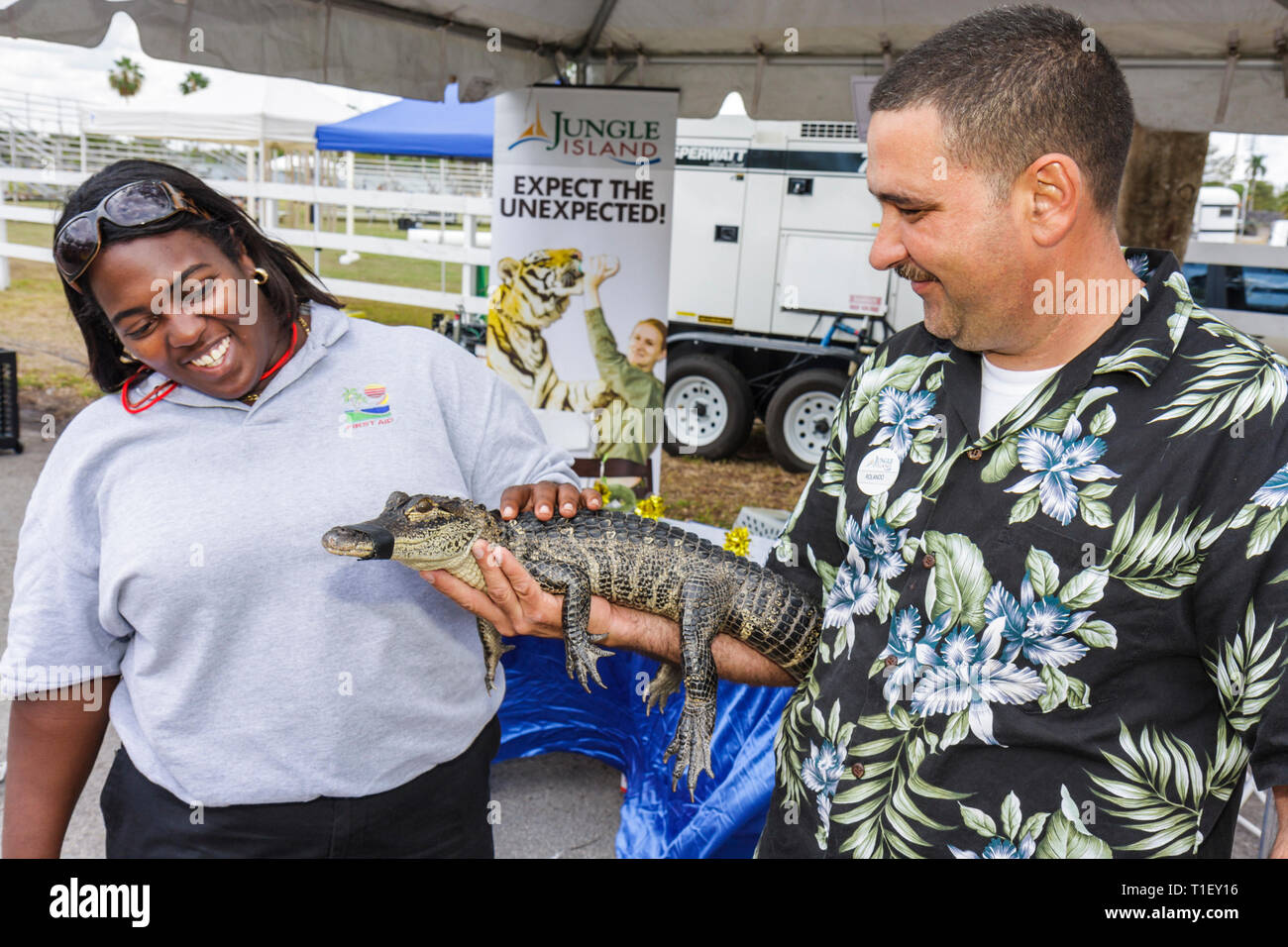 Miami Florida,Kendall,Tropical Park,Miami International Agriculture & Cattle Showtrade,agri business,wildlife,alligator,reptile,Black African Africans Stock Photo