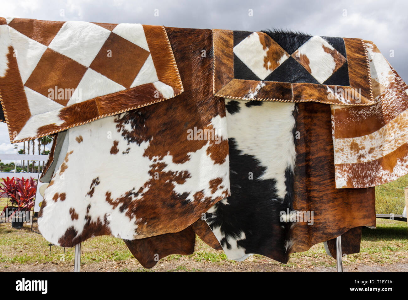 Miami Florida,Kendall,Tropical Park,Miami International Agriculture and Cattle Show,livestock