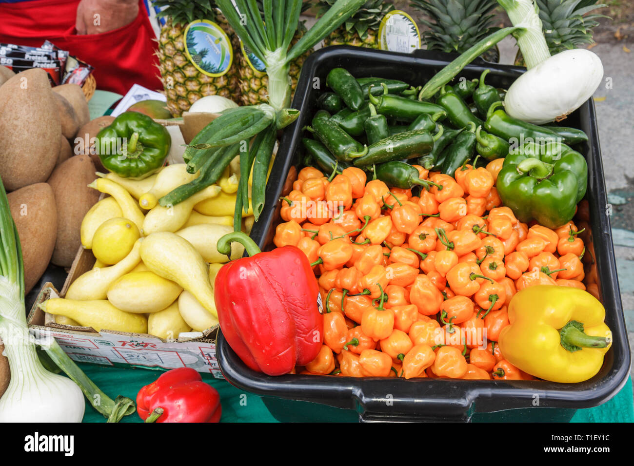 Miami Florida,Kendall,Tropical Park,Miami International Agriculture and Cattle Showtrade,agri