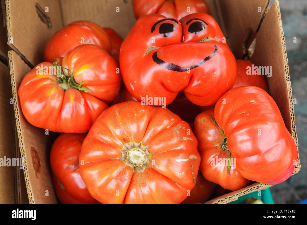 Miami Florida,Kendall,Tropical Park,Miami International Agriculture and