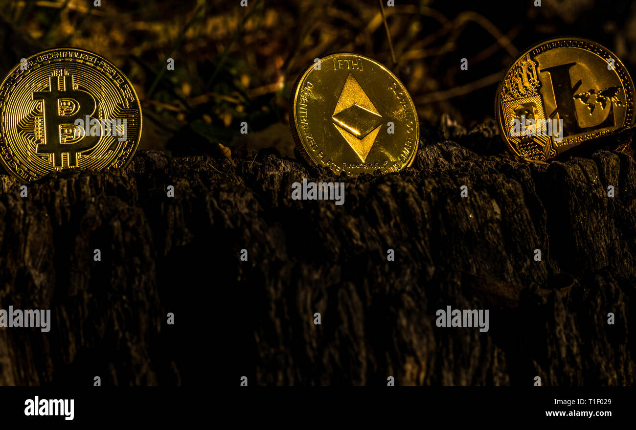 Gold coins (digital virtual money) on a dark background. Metal gold money  bitmoy Credit coins - bitcoin (BTK), lithecoin (LTC), etherum (ETH);  digital Stock Photo - Alamy
