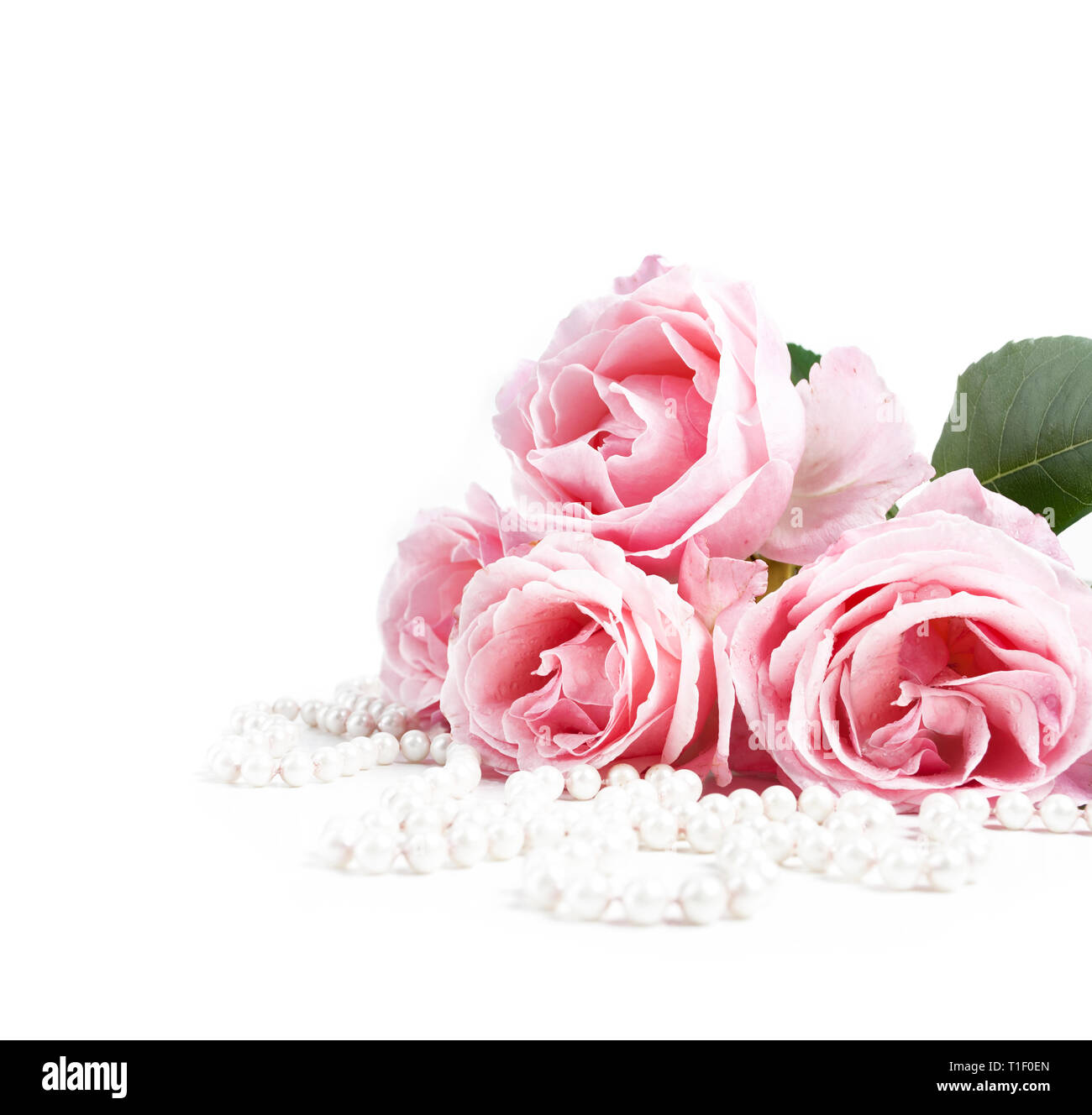 Beautiful Pastel Pink Roses Bunch And Elegant Bridal Pearls Isolated Over White Background Wedding Flower Bouquet Arrangement And Classy Jewelry Bri Stock Photo Alamy
