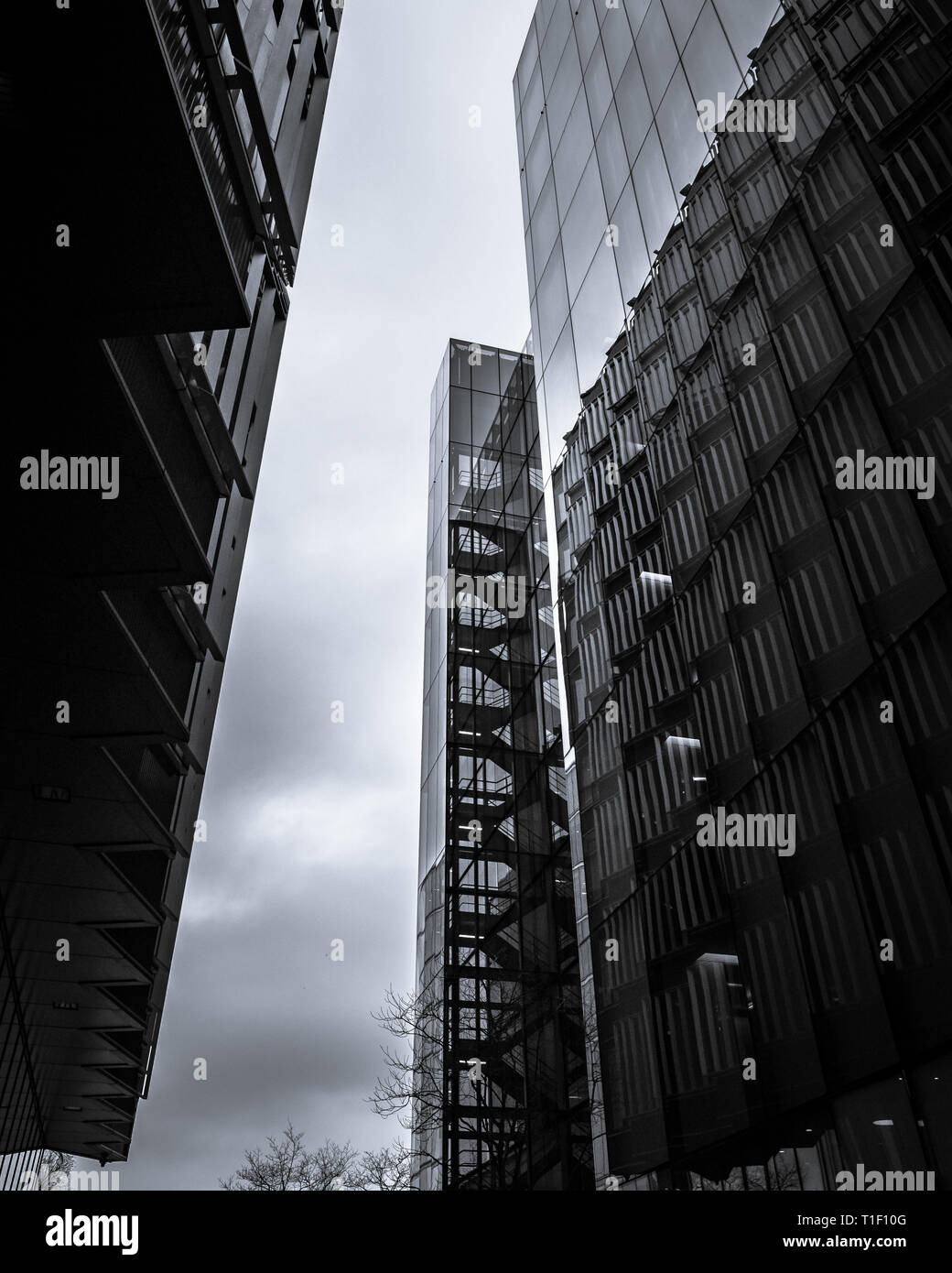 London, United Kingdom: Tall glass buildings in London's Southwark district. Black and white. Stock Photo