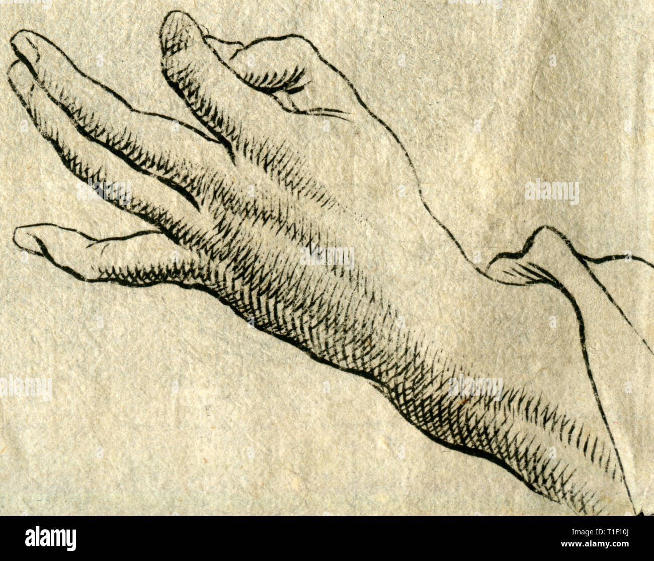 Engraving hand hires stock photography and images Alamy