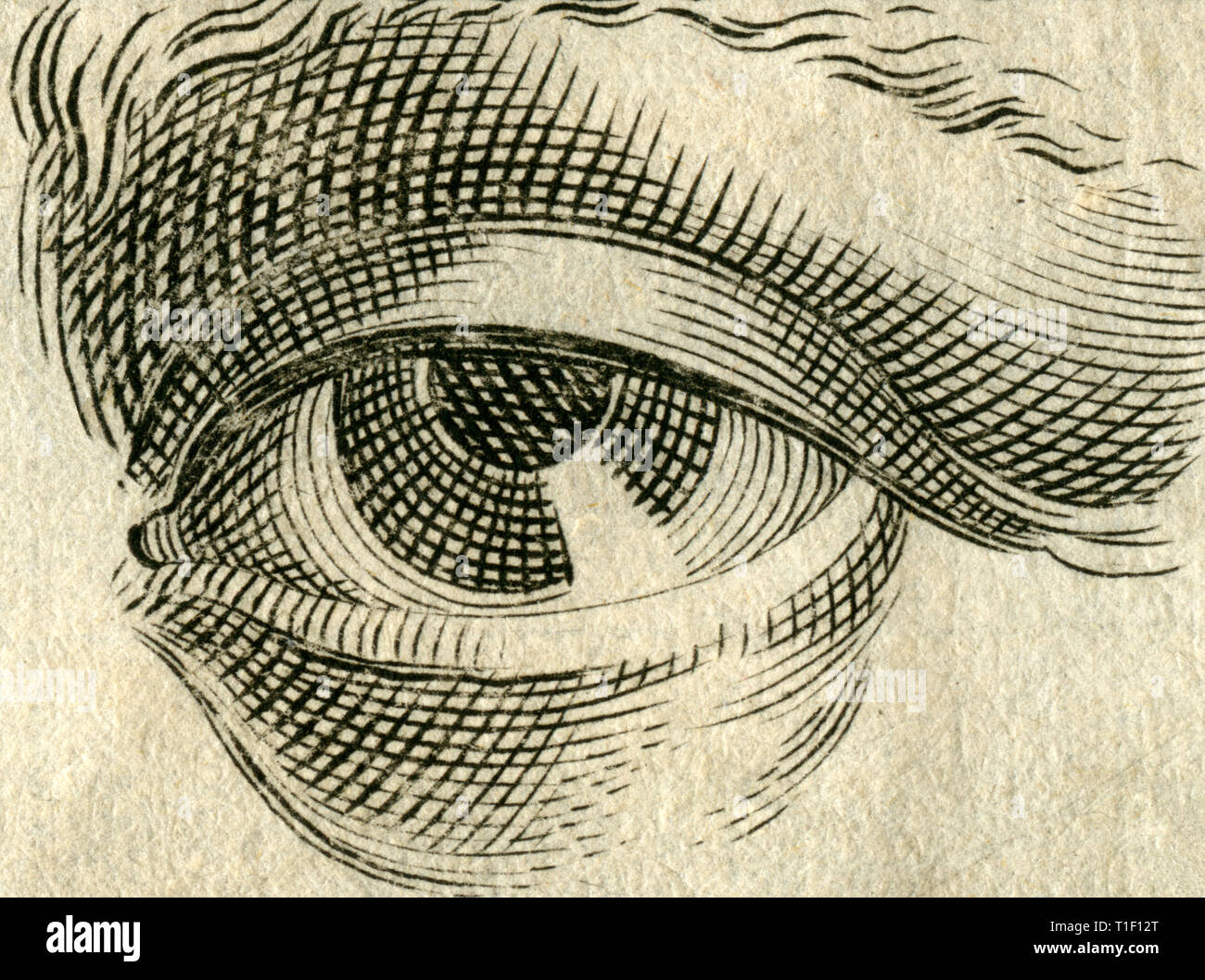 The eye, copperplate engraving, about 1700, Artist's Copyright has not to be cleared Stock Photo
