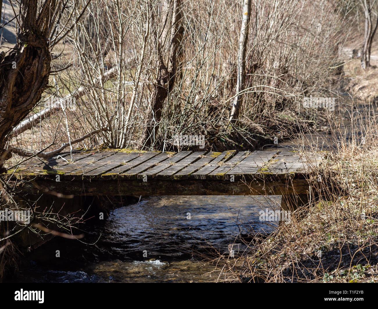 Timber bridge over creek Stock Photo