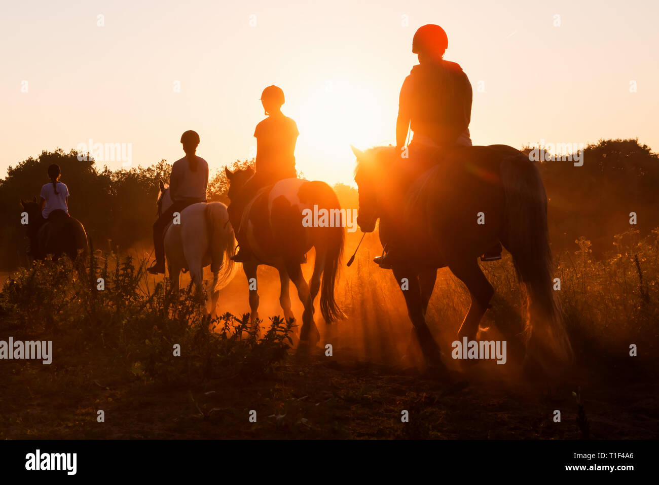 THE HAGUE - People riding horses at sunset in the dunes. Stock Photo