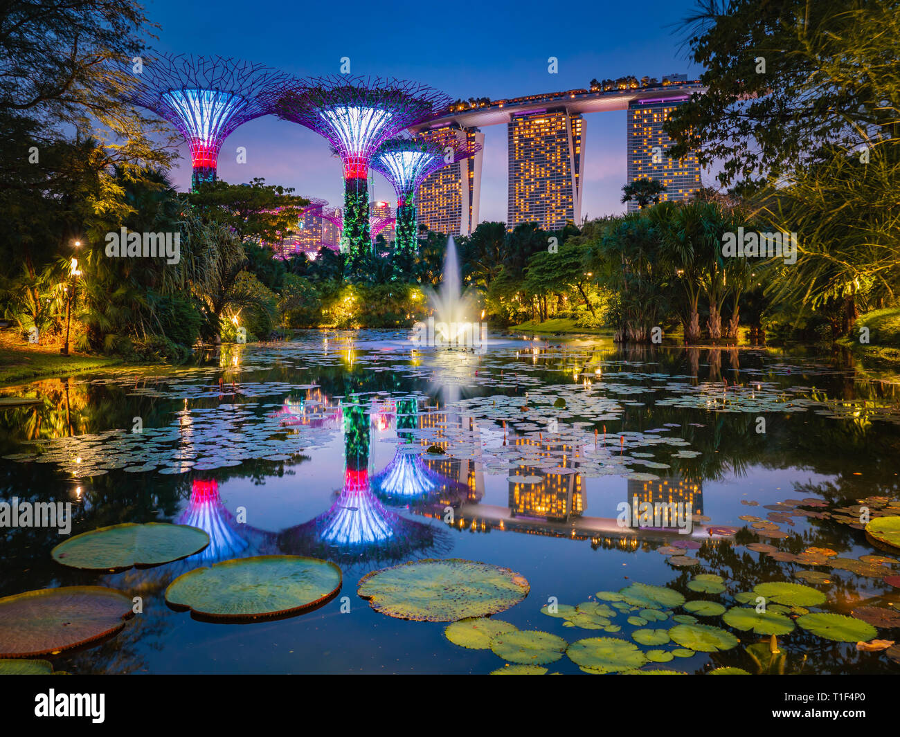 Water Lily Pond, Gardens by the Bay, Singapore Stock Photo
