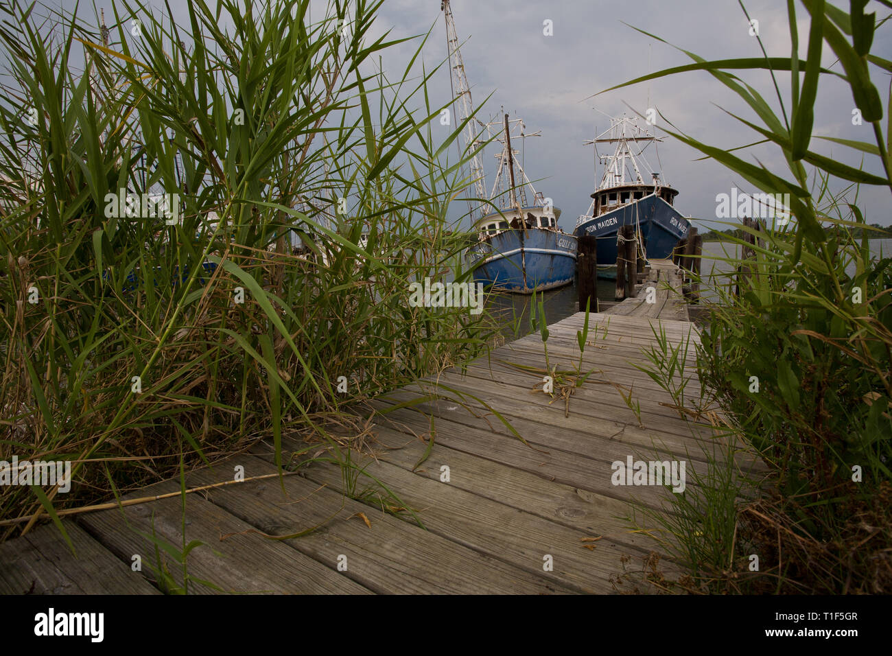 Louisiana shrimp boats hi-res stock photography and images - Alamy