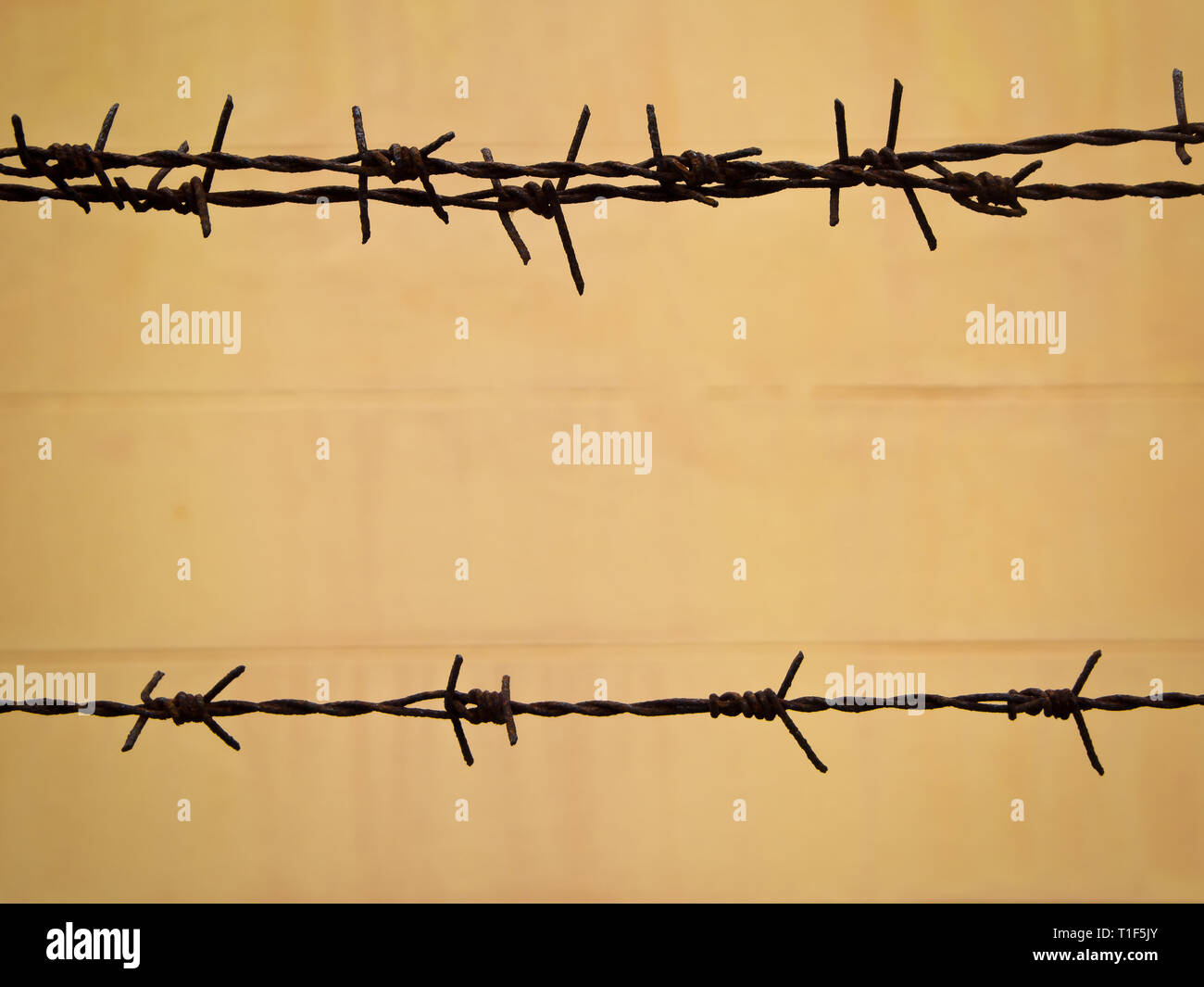 Old and rusty barbed wire on the fence Stock Photo - Alamy