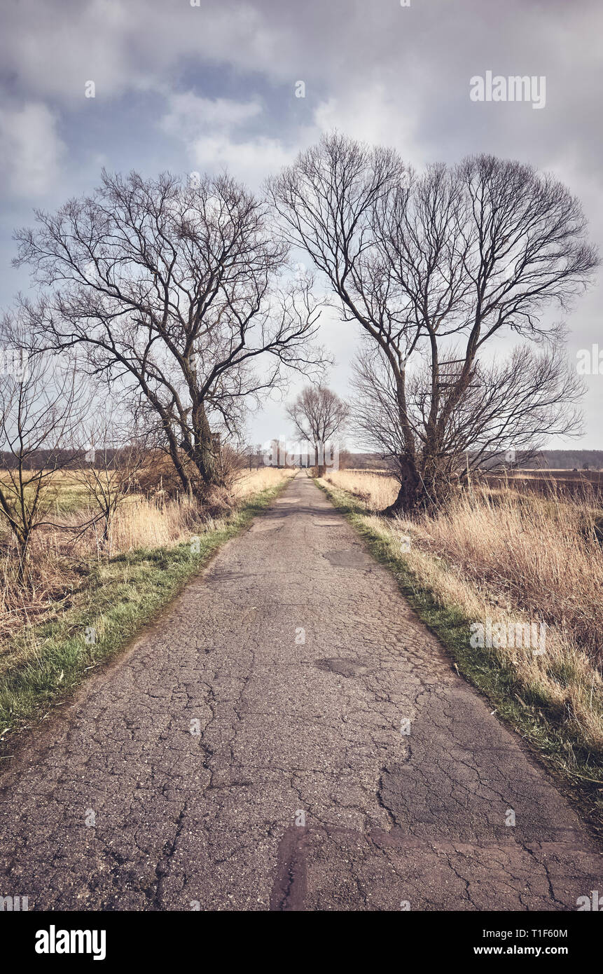 Countryside road in spring, color toning applied Stock Photo - Alamy
