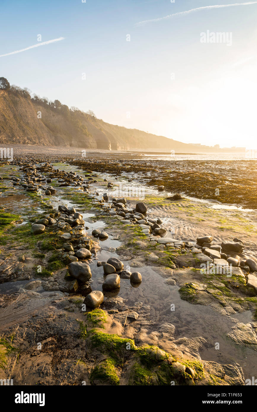 The empty rocky beach and the cliffs at the Knap, Barry, South Wales, bathed in bright early morning sunshine Stock Photo